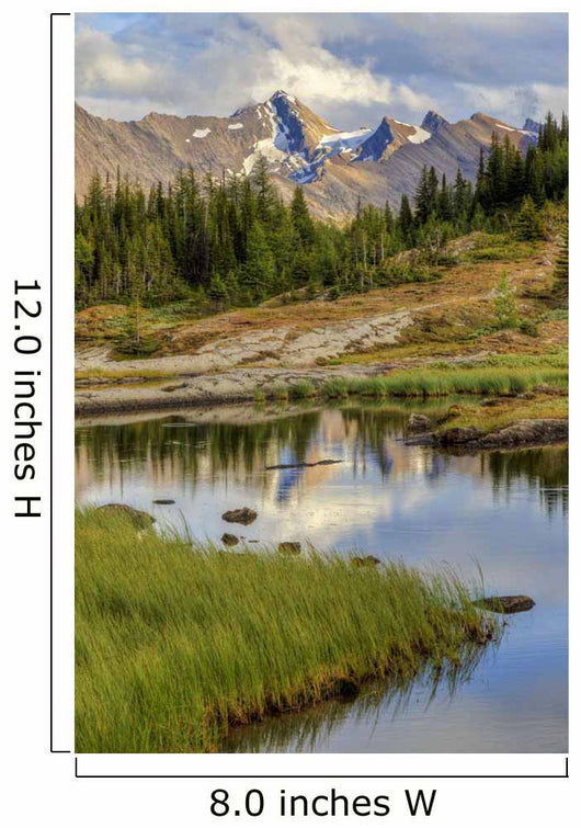 A Gentle Stream Flows Out Of Baker Lake Through The Skoki Wilderness Wall Mural