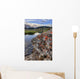 A Gentle Stream Flows Out Of Baker Lake Through The Skoki Wilderness Wall Mural