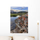 A Gentle Stream Flows Out Of Baker Lake Through The Skoki Wilderness Wall Mural