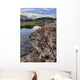 A Gentle Stream Flows Out Of Baker Lake Through The Skoki Wilderness Wall Mural