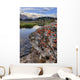 A Gentle Stream Flows Out Of Baker Lake Through The Skoki Wilderness Wall Mural