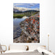 A Gentle Stream Flows Out Of Baker Lake Through The Skoki Wilderness Wall Mural