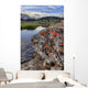 A Gentle Stream Flows Out Of Baker Lake Through The Skoki Wilderness Wall Mural