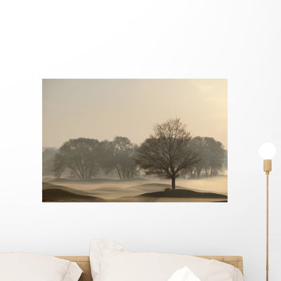 Trees Golf Course Sunrise Wall Mural shown on a wall