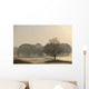 Trees On Golf Course At Sunrise On A Misty Autumn Morning Wall Mural