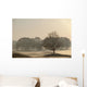 Trees On Golf Course At Sunrise On A Misty Autumn Morning Wall Mural