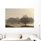Trees On Golf Course At Sunrise On A Misty Autumn Morning Wall Mural