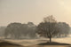 Trees On Golf Course At Sunrise On A Misty Autumn Morning Wall Mural