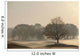 Trees On Golf Course At Sunrise On A Misty Autumn Morning Wall Mural