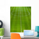 Pitch Wall Mural