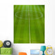 Pitch Wall Mural