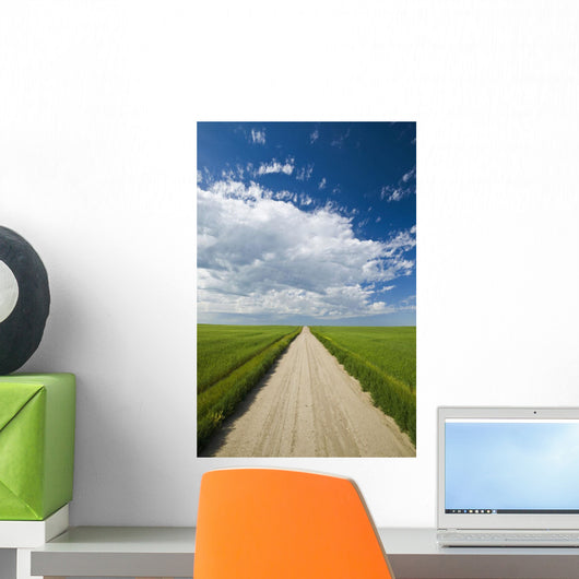 Country Road Through Grain Fields Wall Mural