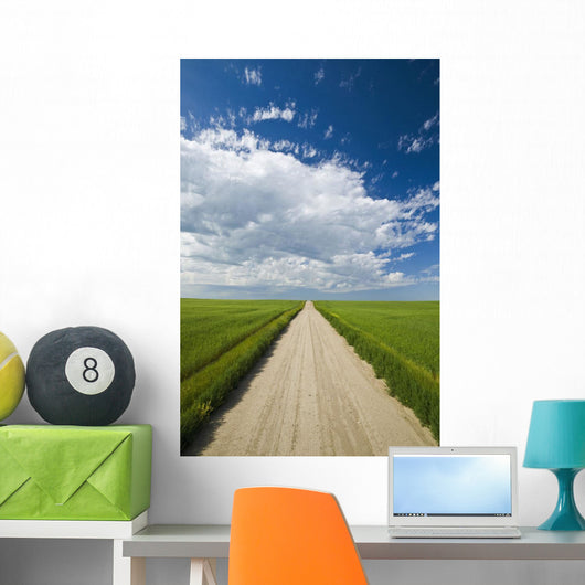 Country Road Through Grain Fields Wall Mural