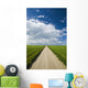 Country Road Through Grain Fields Wall Mural