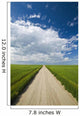 Country Road Through Grain Fields Wall Mural