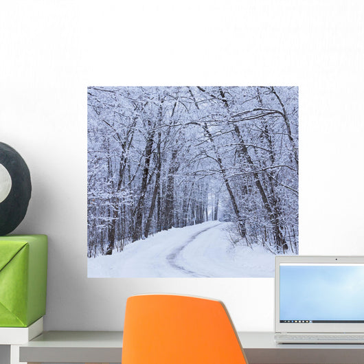 Road Across Snow-Covered Forest Wall Mural