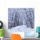 Road Across Snow-Covered Forest Wall Mural