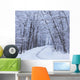 Road Across Snow-Covered Forest Wall Mural