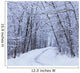 Road Across Snow-Covered Forest Wall Mural