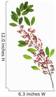 Berries On A Stem Against A White Background Wall Mural