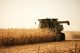 Harvesting Wall Mural