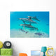 Dolphin Pod Swimming Wall Decal