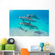 Dolphin Pod Swimming Wall Decal