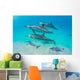 Dolphin Pod Swimming Wall Decal