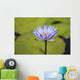 Close-Up Of Blue Water Lily Wall Mural
