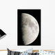 First Quarter Moon Wall Decal