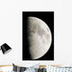 First Quarter Moon Wall Decal