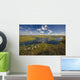 Arctic Tundra & Cotton Grass Summer Scenic North Slope Alaska Wall Mural