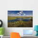 Arctic Tundra & Cotton Grass Summer Scenic North Slope Alaska Wall Mural
