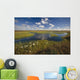 Arctic Tundra & Cotton Grass Summer Scenic North Slope Alaska Wall Mural