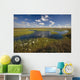 Arctic Tundra & Cotton Grass Summer Scenic North Slope Alaska Wall Mural