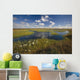 Arctic Tundra & Cotton Grass Summer Scenic North Slope Alaska Wall Mural