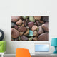 Close-Up Pattern Of River Rocks Alaska Wall Mural