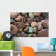 Close-Up Pattern Of River Rocks Alaska Wall Mural