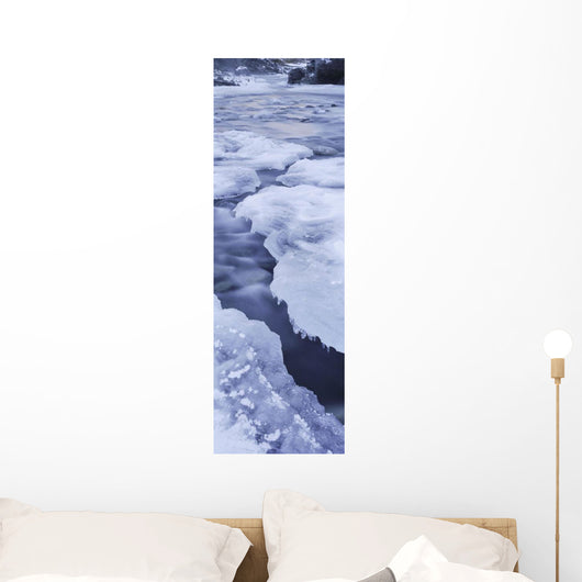 Ice On Chickaloon River Winter Southcentral Ak Wall Mural