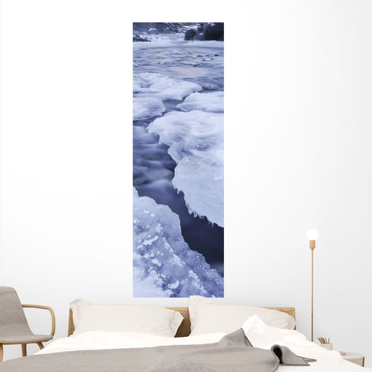 Ice On Chickaloon River Winter Southcentral Ak Wall Mural