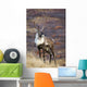 A Young Male Caribou Climbs A Steep Ridge Line In Denali National Park Wall Mural