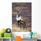 A Young Male Caribou Climbs A Steep Ridge Line In Denali National Park Wall Mural