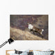 A Young Male Caribou Climbs A Steep Ridge Line In Denali National Park Wall Mural