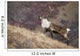A Young Male Caribou Climbs A Steep Ridge Line In Denali National Park Wall Mural
