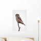 Portrait Of A Northern Hawk Owl Perched On A Dead Spruce Tree Wall Mural