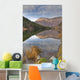 View Of Mountains Reflected In Jerome Lake Wall Mural