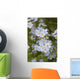 Close Up Of Forget Me Not Wall Mural