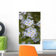 Close Up Of Forget Me Not Wall Mural