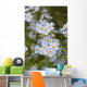 Close Up Of Forget Me Not Wall Mural