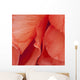 Macro View Of Red Begonia Petals Wall Mural